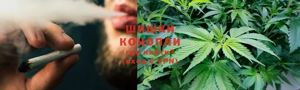 тгк Медногорск