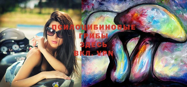 таблы Алзамай