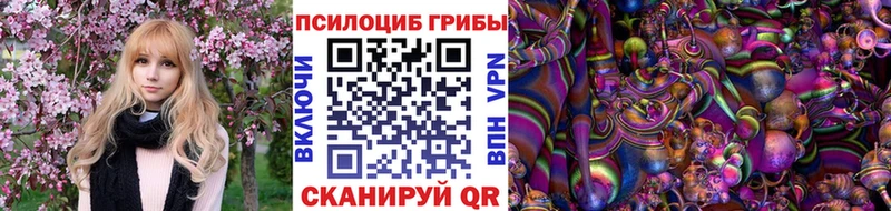 Псилоцибиновые грибы MAGIC MUSHROOMS MEGA онион Невьянск цена
